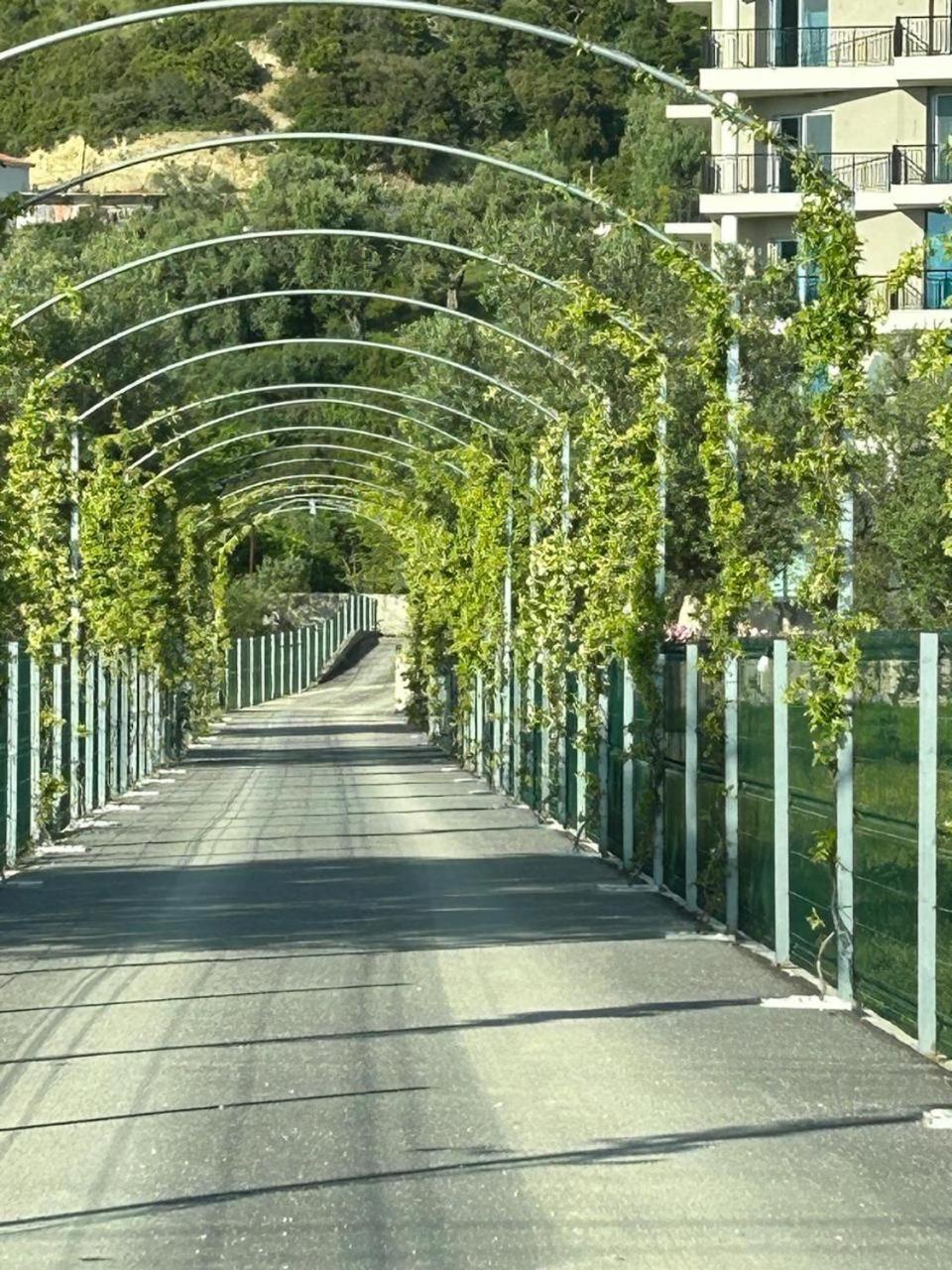 Hotel Borshi Exteriör bild