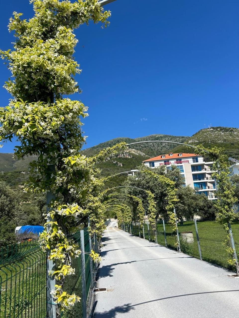Hotel Borshi Exteriör bild